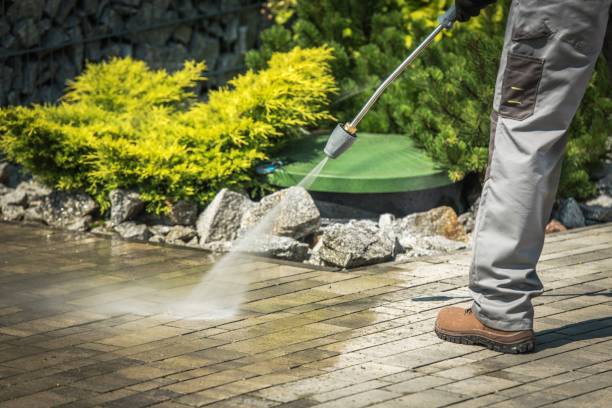 Best Dumpster Area Cleaning  in Fort Dodge, IA
