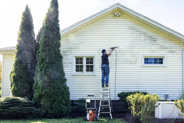 Best Driveway Pressure Washing  in Fort Dodge, IA