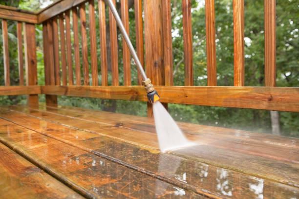 Best Fence Cleaning  in Fort Dodge, IA